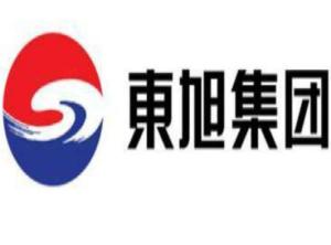东旭光电科技股份