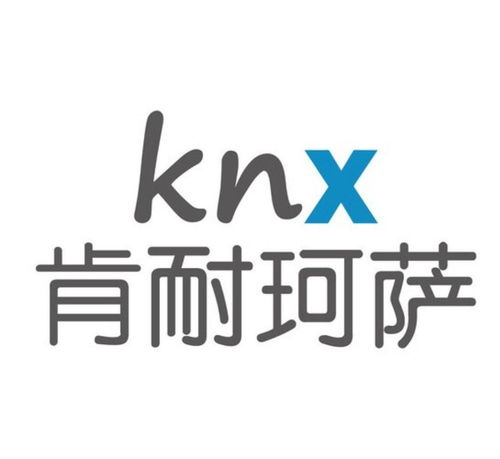 上海肯耐珂萨人力资源科技股份