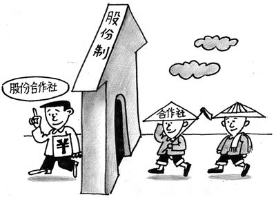 股份合作社:分红立章法 经营有监管