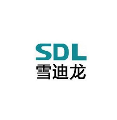 北京雪迪龙科技股份